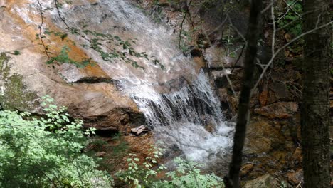 Ein-Kleiner,-Klarer-Wasserfall-Fließt-Von-Einer-Steinplatte-In-Ein-Felsiges-Flussbett-Hinter-Bäumen-Im-Vordergrund