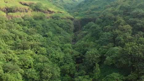 mountain range with a lush evergreen forest in maharashtra, india