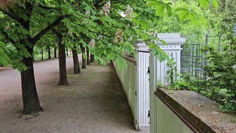 Statische-Aufnahme-Einer-Baumreihe-Neben-Einem-Wunderschönen-Weißen-Tor-Im-Wilden-Garten