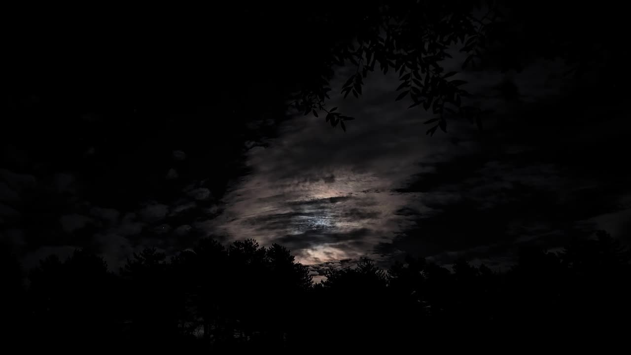 Full Moon Shining Through Fast-Moving Clouds, Captured Amidst the Dancing Leaves of an Enchanted Forest - Magical Night, Timelapse