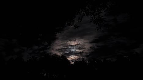 full moon shining through fast-moving clouds, captured amidst the dancing leaves of an enchanted forest - magical night, timelapse