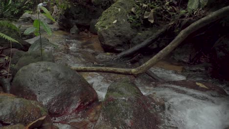 clear stream water flowing through stoney creek between mossy rock, boulders and gravel in tropical rainforest