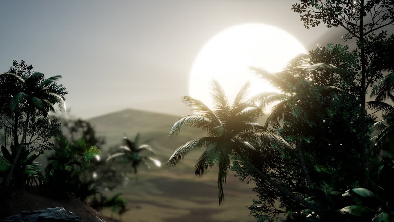 palmeras de coco paisaje tropical