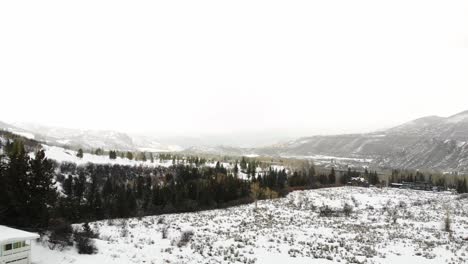 Winterscape-Rocky-Mountains-Valley-With-Pine-Trees-And-Snow-Covered-Field-Near-Estes-Park,-Colorado-USA