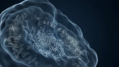 microscopic view of cellular structure