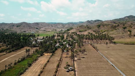 empty lots of rural agricultural farmland in lombok, indonesia