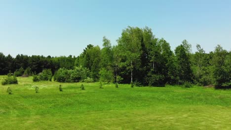 drone footage of beautiful fields of green grass and trees.