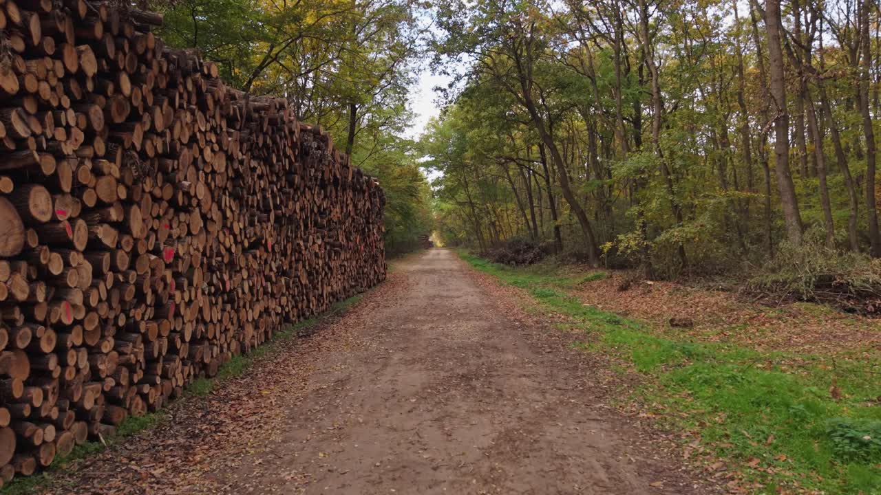 A long stack of neatly piled firewood lines a dirt road cutting through an autumn forest. The scene captures the quiet beauty of the woodland with fallen leaves, and the calm atmosphere of the season