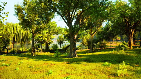 hermoso día soleado en el parque