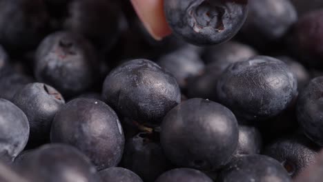 close up of fresh blueberries