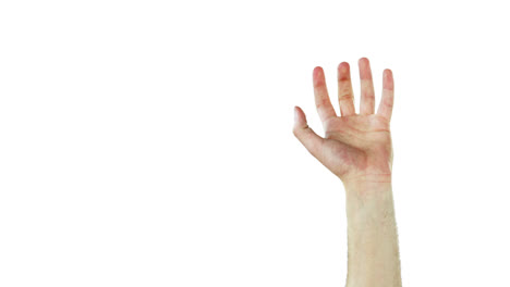 close-up of hands gesturing