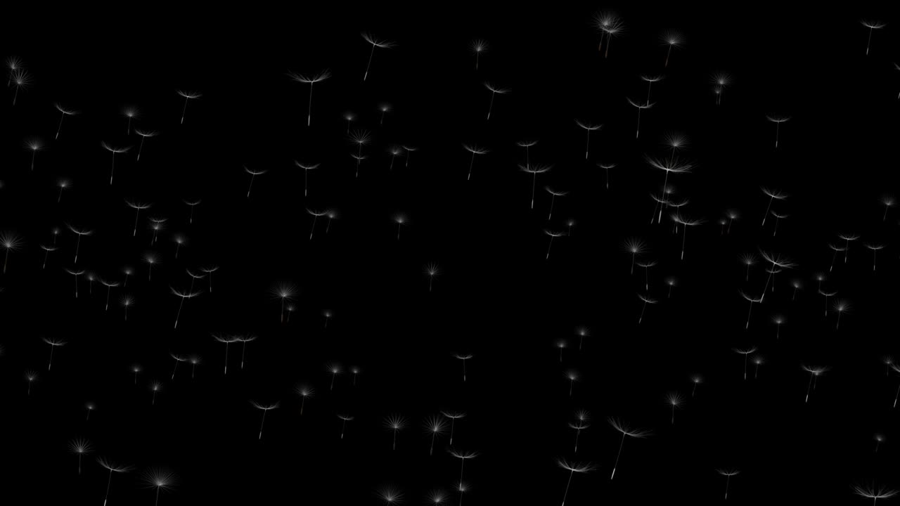 diente de león en el fondo de la naturaleza. la flor de diente de león esponjosa con la luz del sol en la animación de verano.