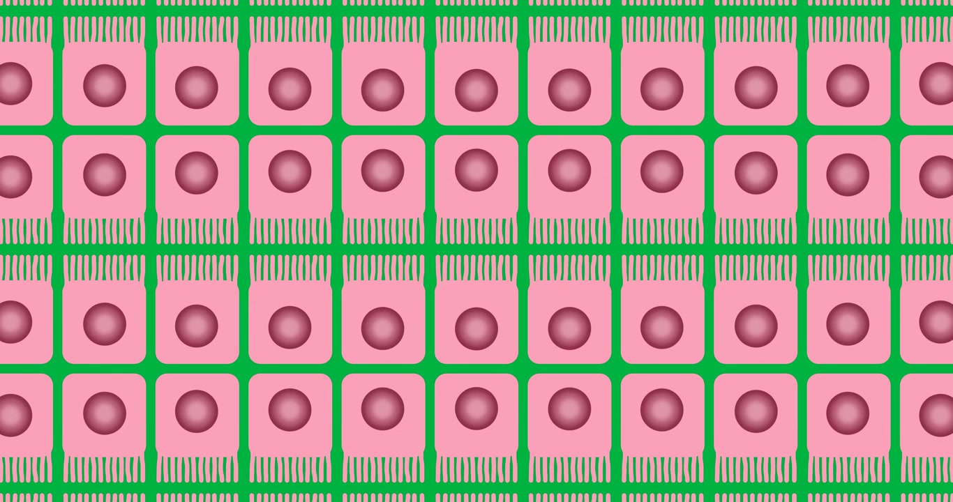 Animazione di cellule rosa in movimento su sfondo trasparente.