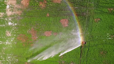 vista superior del riego del campo agrícola con un aspersor de rueda de riego