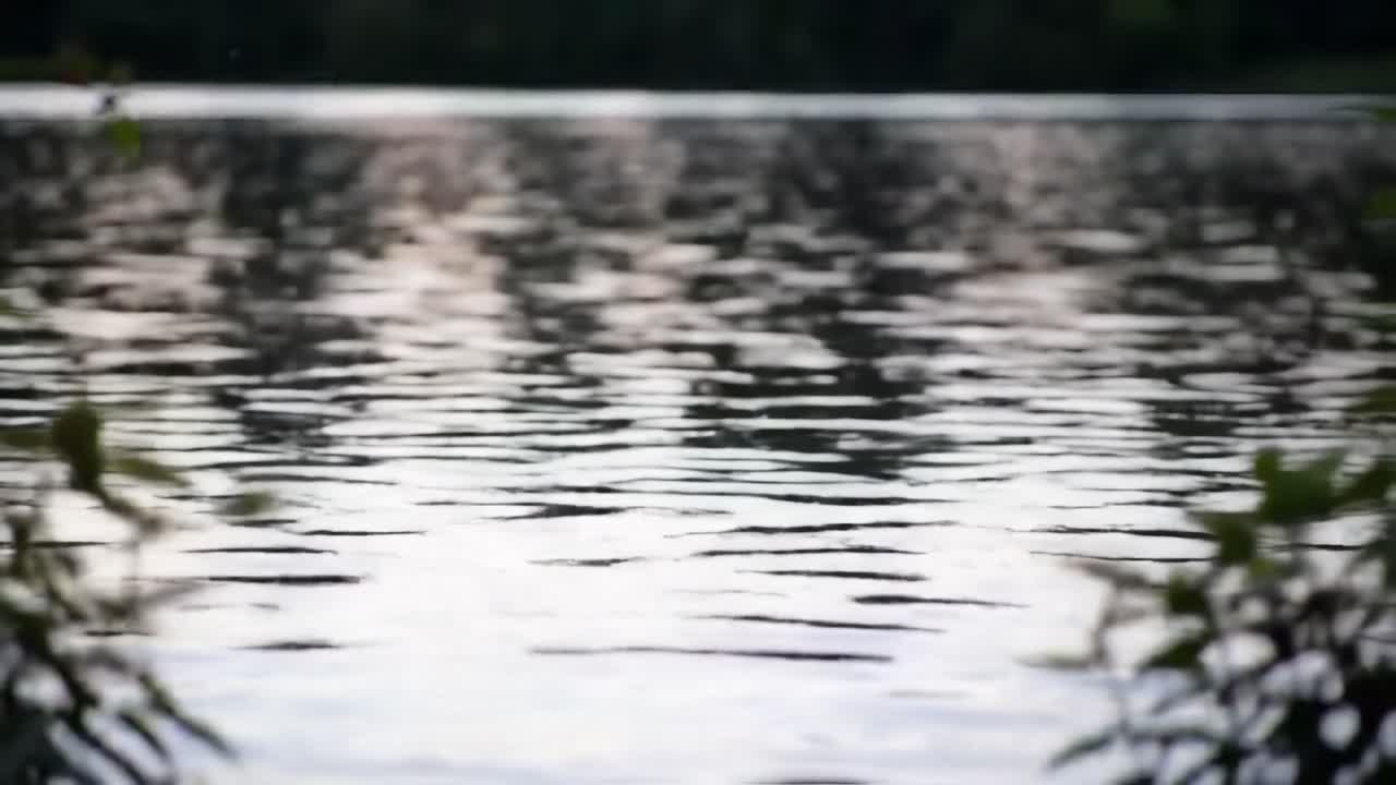A Serene Waterscape: Captivating Reflections on a Tranquil Lake, with Gentle Ripples Dancing over the Surface as Nature's Beauty Unfolds in the Early Evening Light