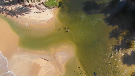 Aufsteigende-Luftaufnahme-Einer-Epischen-Nordküste-In-Trinidad,-An-Der-Der-Yara-Fluss-Auf-Den-Ozean-Trifft