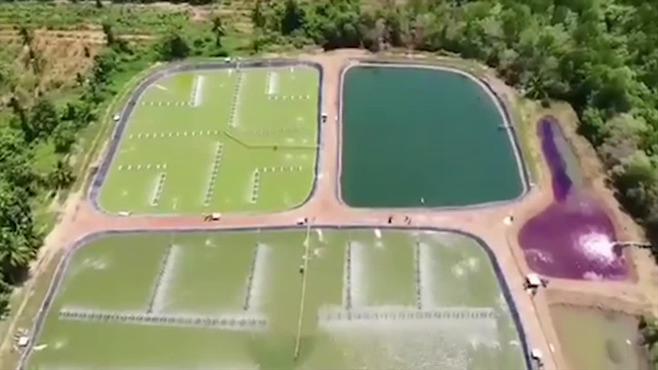 Vue aérienne d'une ferme de crevettes dans un magnifique paysage rural