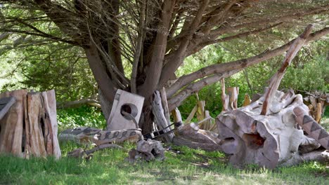 Pieces of trees in the ground