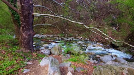 Hermosa-Toma-Lateral-Del-Río-&#39;stara-Reka&#39;-En-Karlovo,-Bulgaria