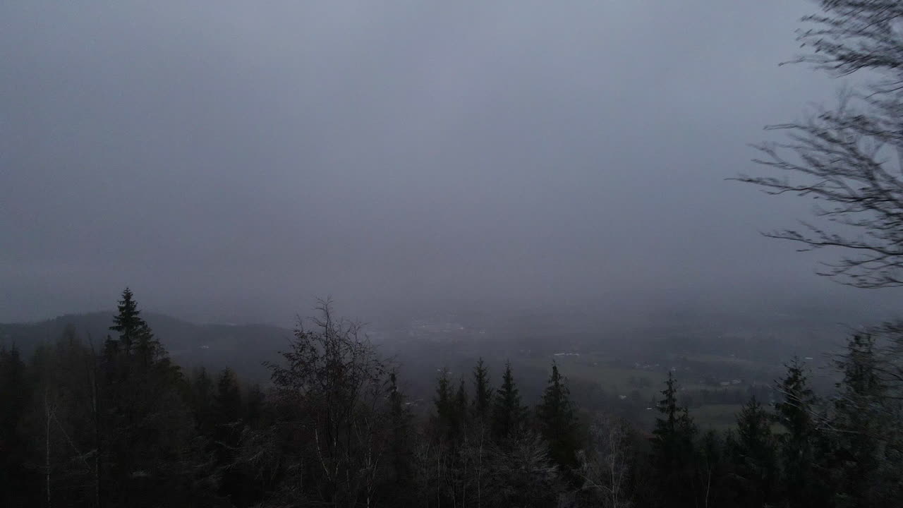 늦은 겨울날 땅에서 줄기 옆 나무 꼭대기까지 비행