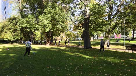 people playing badminton in a park