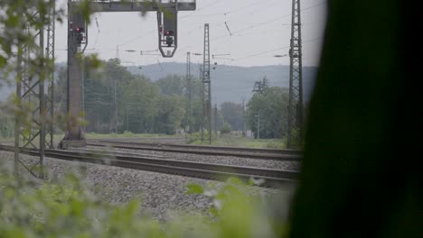 tren amarillo y blanco pasando por las vías con follaje verde en primer plano, clima nublado