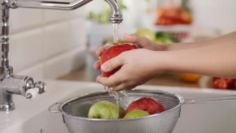 handheld view of woman washing seasonal fresh apples/rzeszow/poland