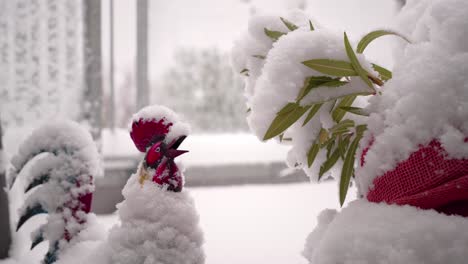 Metal-Hahn-stands-outside-in-the-cold-in-a-light-snowfall