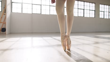 ballerina, shoes and toes in performance