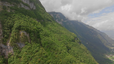 aerial footage of alpine mountains with dense vegetation