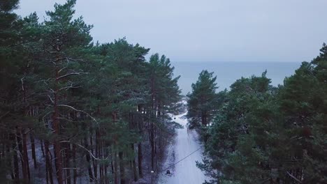 Hermosa-Vista-Aérea-De-La-Costa-Del-Mar-Báltico-En-Un-Día-De-Invierno-Nublado,-Playa-Con-Arena-Blanca-Cubierta-De-Nieve,-Erosión-Costera,-Cambios-Climáticos,-Amplia-Toma-Ascendente-De-Drones-Avanzando