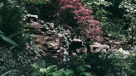 tranquil garden waterfall