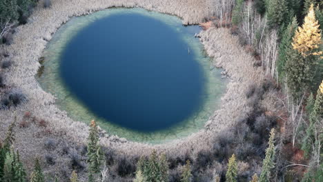 Gutenachtkuss-Der-Natur-An-Den-Wald-Von-Barrière