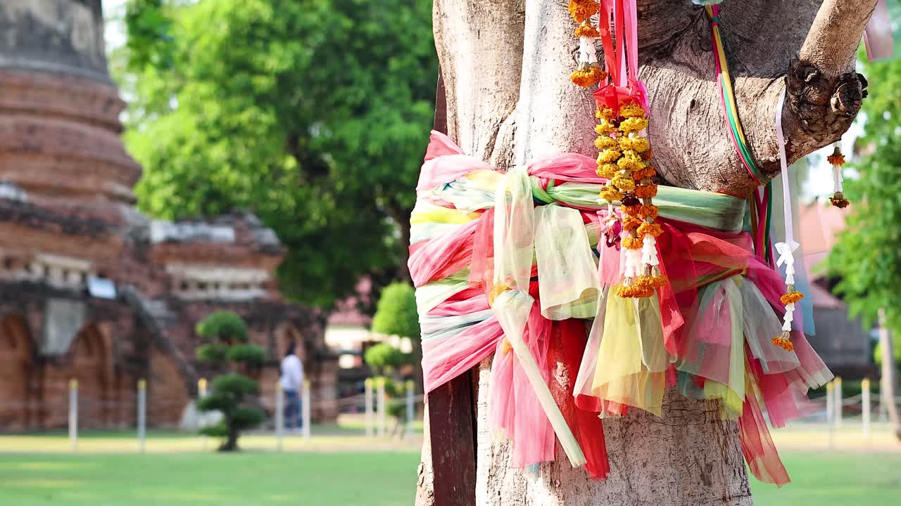 Árbol decorado con hilo sagrado en Ayutthaya