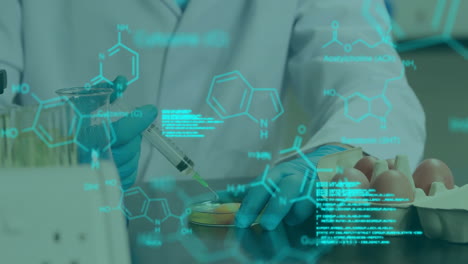 animation of data processing and chemical formula over caucasian scientist working in lab