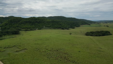 farming and growing plants in rural areas of jamaica