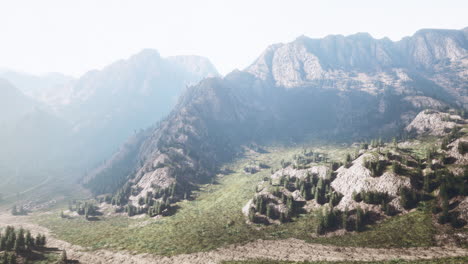mountain range with valley and forest