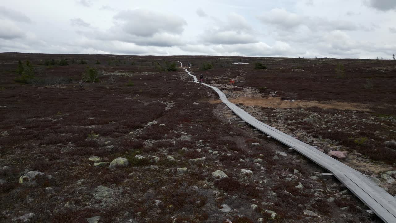 una mujer y su perro caminando por un sendero de montaña