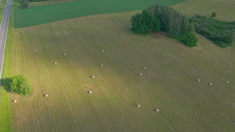 aerial view of harvested field with scattered hay bales next to rural road and green trees under summer sunlight