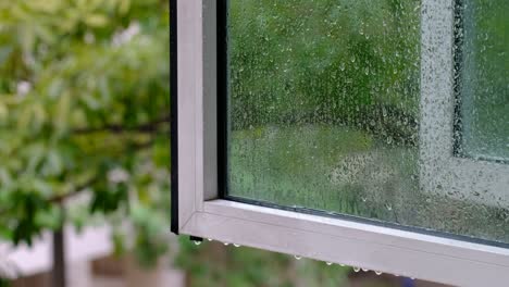 textured window frame with forest landscape reflection and water drops on glass