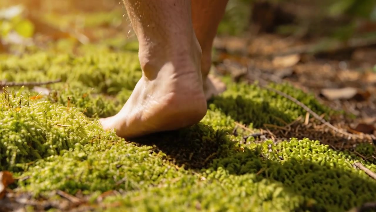 Stepping bare feet shifting weight while walking across mossy woodland floor, scattering twigs