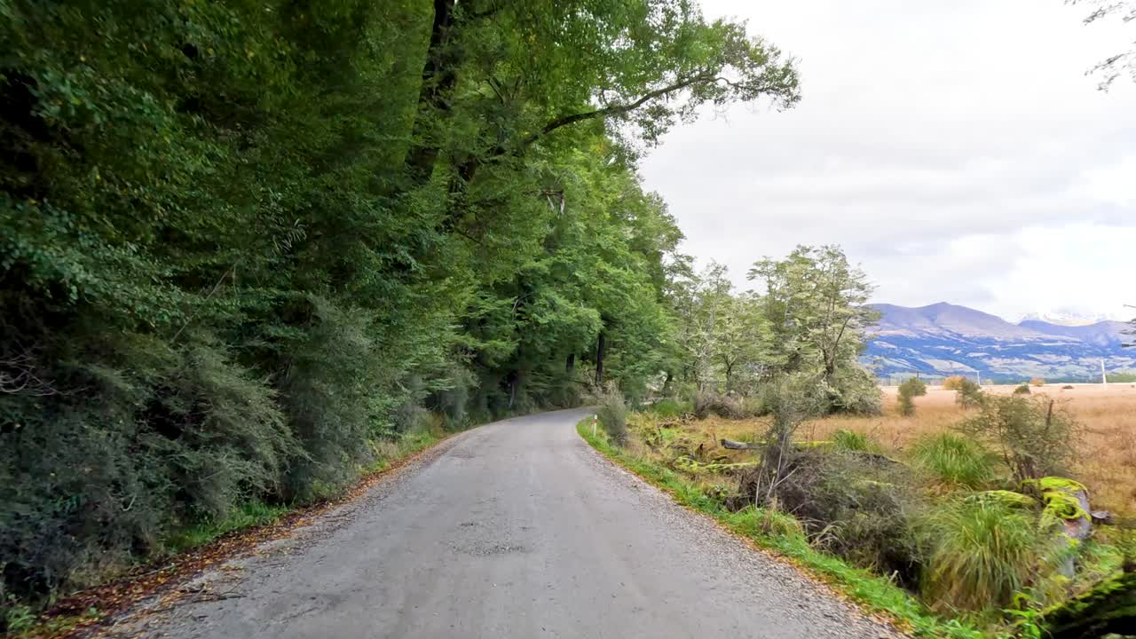 Car drives on narrow forest road, lush greenery, natural daylight, smooth forward camera movement