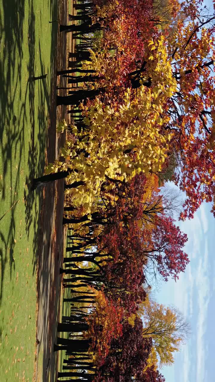 A serene video captures a low-angle view of a park with vibrant autumn trees, showcasing colorful