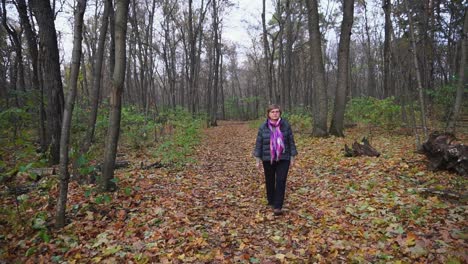 woman walking in autumn forest