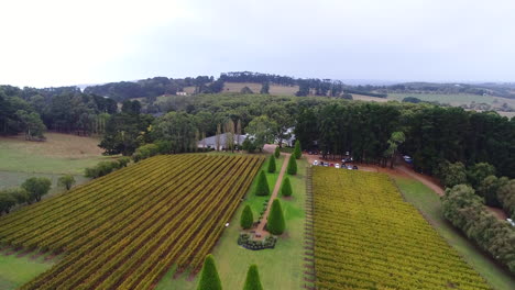 Flying-over-a-stunning-winery-during-a-dark-cloudy-day