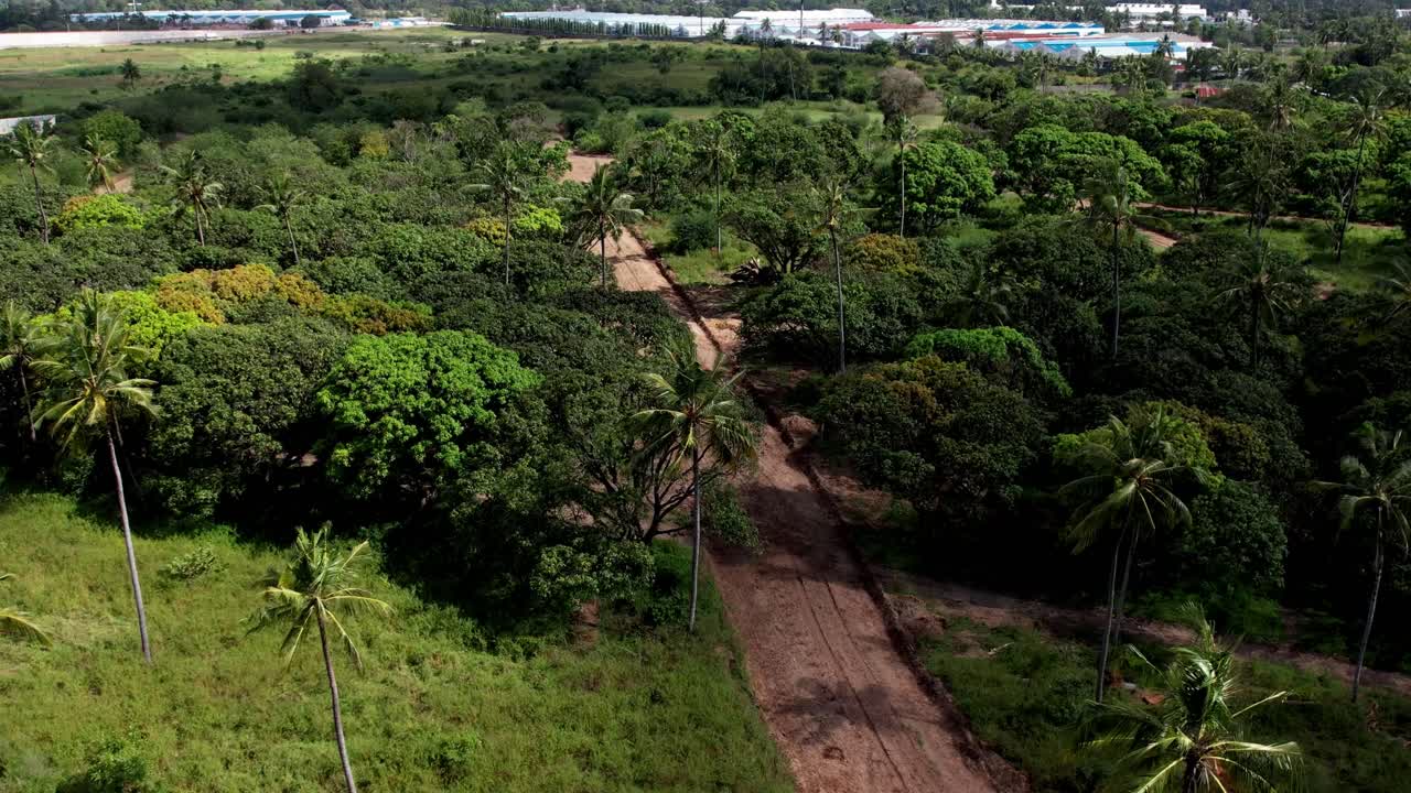 vista aérea de la naturaleza con palmeras y bosque en las afueras de una ciudad keniana