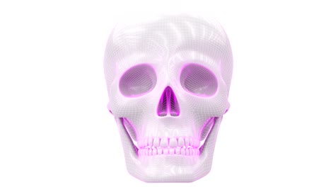 the mesh of the skull. looping footage has 4k resolution.
