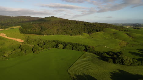 Una-Vista-Aérea-De-Los-Campos-De-Ovejas-En-El-área-De-Dunsdale-En-Southland,-Nueva-Zelanda