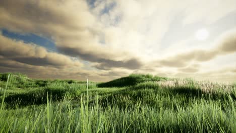 storm clouds above meadow with green grass