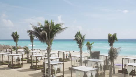 coconuts palm trees and beach beds on a beautiful caribbean beach